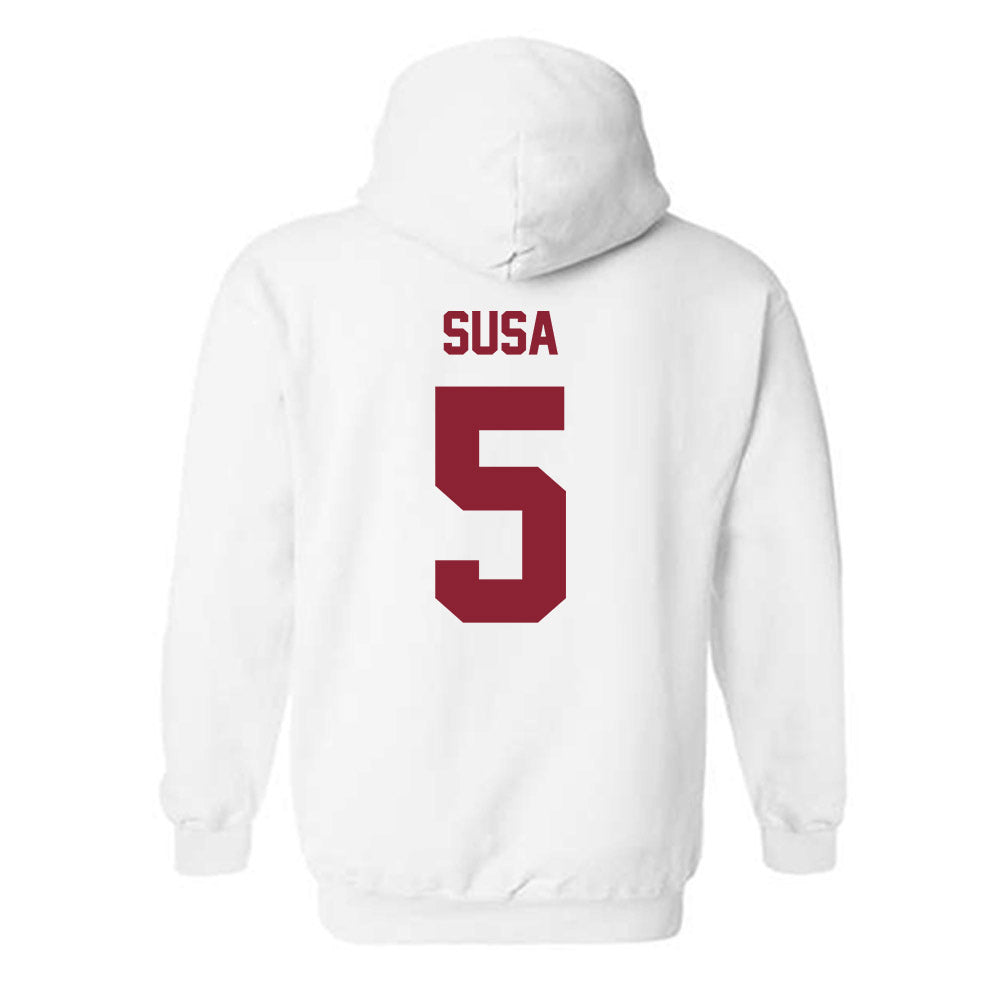Minnesota - NCAA Softball : Natalie Susa - Classic Shersey Hooded Sweatshirt-1