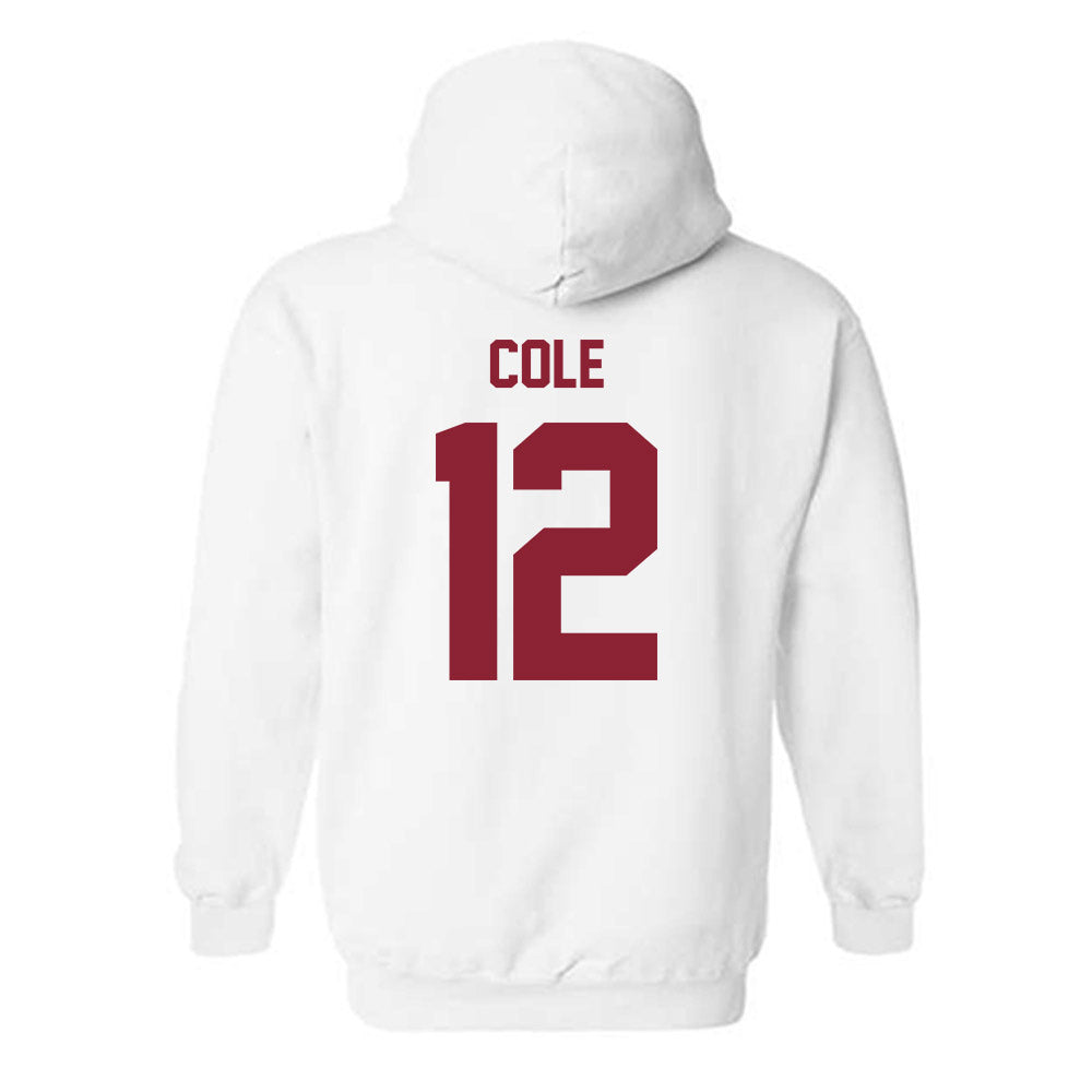 Minnesota - NCAA Baseball : Ethan Cole - Classic Shersey Hooded Sweatshirt-1