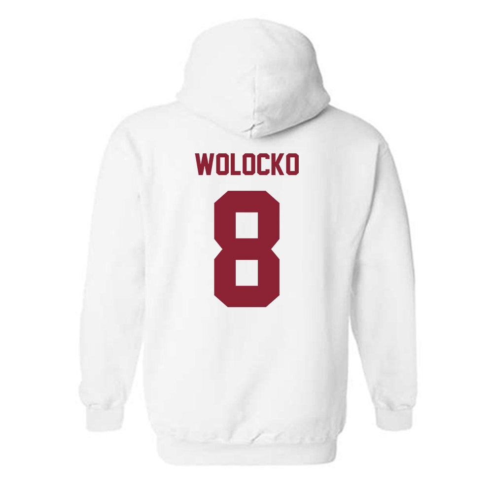 Minnesota - NCAA Softball : Tara Wolocko - Classic Shersey Hooded Sweatshirt-1