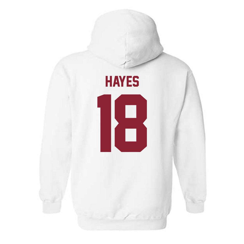 Minnesota - NCAA Football : Donielle Hayes - Classic Shersey Hooded Sweatshirt-1