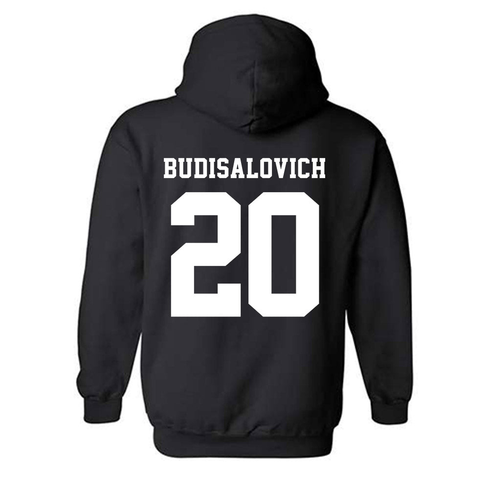 Tarleton State - NCAA Softball : Alyssa Budisalovich - Classic Shersey Hooded Sweatshirt-1