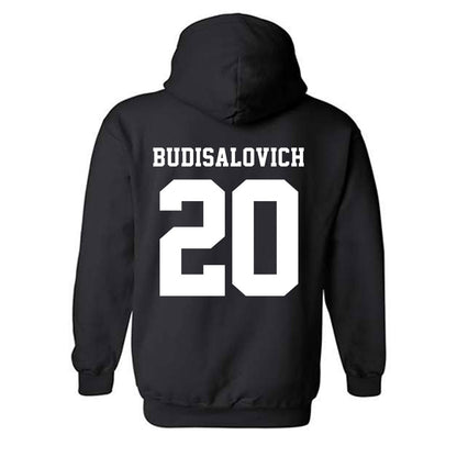 Tarleton State - NCAA Softball : Alyssa Budisalovich - Classic Shersey Hooded Sweatshirt-1