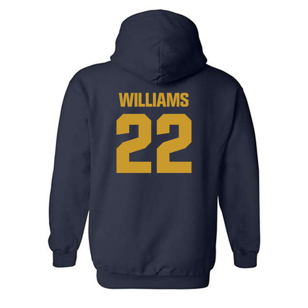 Notre Dame - NCAA Football : Aneyas Williams - Classic Fashion Shersey Hooded Sweatshirt-1