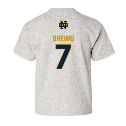Notre Dame - NCAA Football : Francis Brewu - Classic Fashion Shersey Youth T-Shirt-1