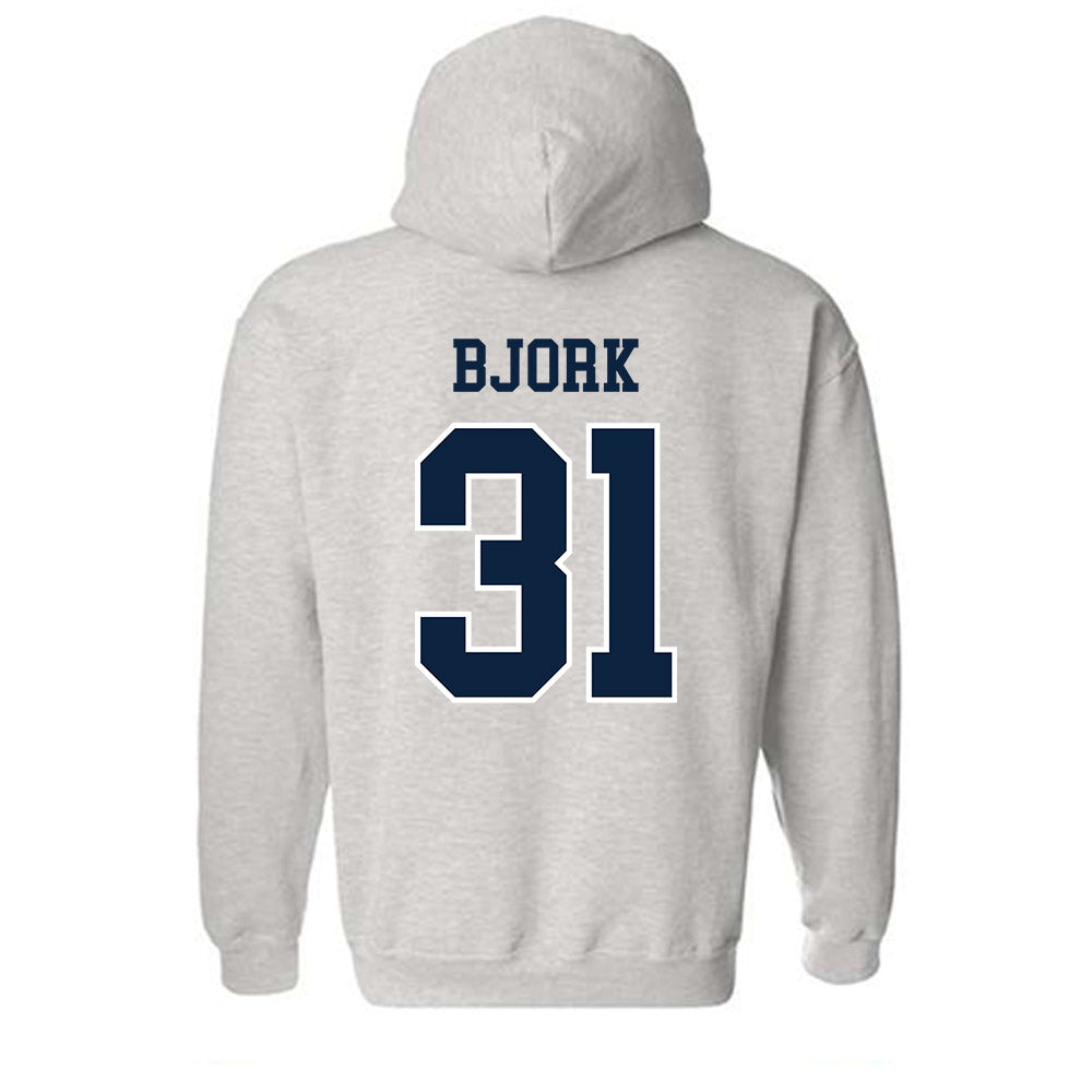 Notre Dame - NCAA Women's Volleyball : Anna Bjork - Classic Shersey Hooded Sweatshirt