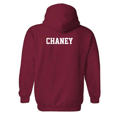 Oklahoma - NCAA Women's Golf : Reagan Chaney - Classic Shersey Hooded Sweatshirt-1