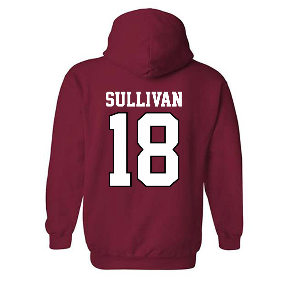 Oklahoma - NCAA Football : Cole Sullivan - Classic Shersey Hooded Sweatshirt-1