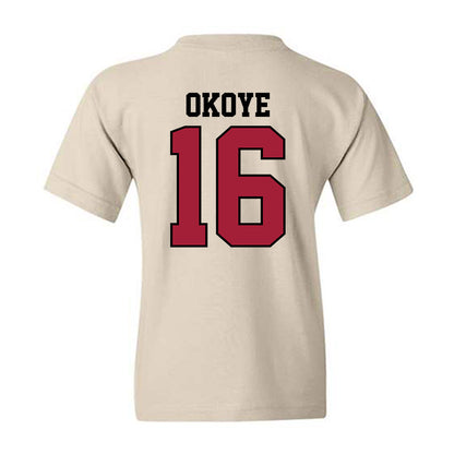 Oklahoma - NCAA Football : Danny Okoye - Classic Shersey Youth T-Shirt-1