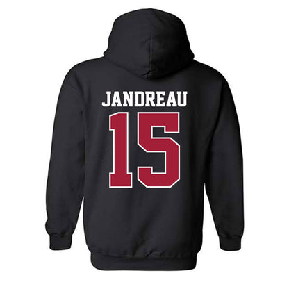 Oklahoma - NCAA Football : Beau Jandreau - Classic Shersey Hooded Sweatshirt-1