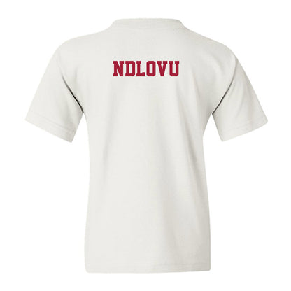 Oklahoma - NCAA Men's Track & Field : Awakhiwe Ndlovu - Classic Shersey Youth T-Shirt-1