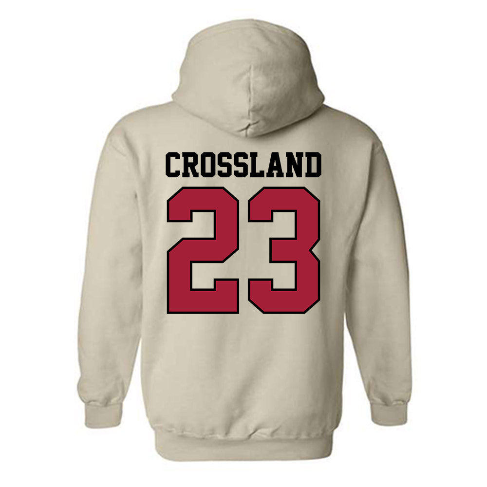 Oklahoma - NCAA Baseball : Cade Crossland - Sports Shersey Hooded Sweatshirt-1
