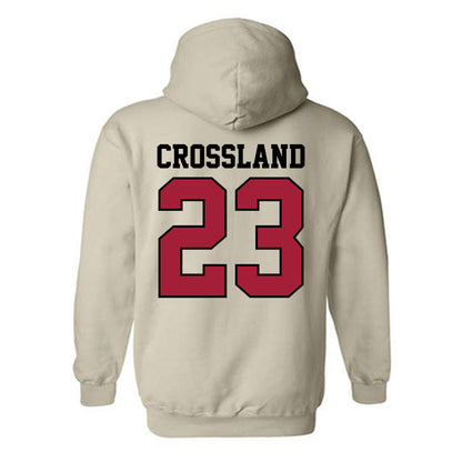 Oklahoma - NCAA Baseball : Cade Crossland - Sports Shersey Hooded Sweatshirt-1