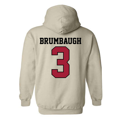 Oklahoma - NCAA Baseball : Cayden Brumbaugh - Sports Shersey Hooded Sweatshirt-1