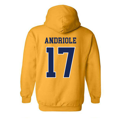 Marquette - NCAA Men's Lacrosse : Thomas Andriole - Sports Shersey Hooded Sweatshirt-1