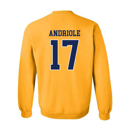 Marquette - NCAA Men's Lacrosse : Thomas Andriole - Sports Shersey Crewneck Sweatshirt-1
