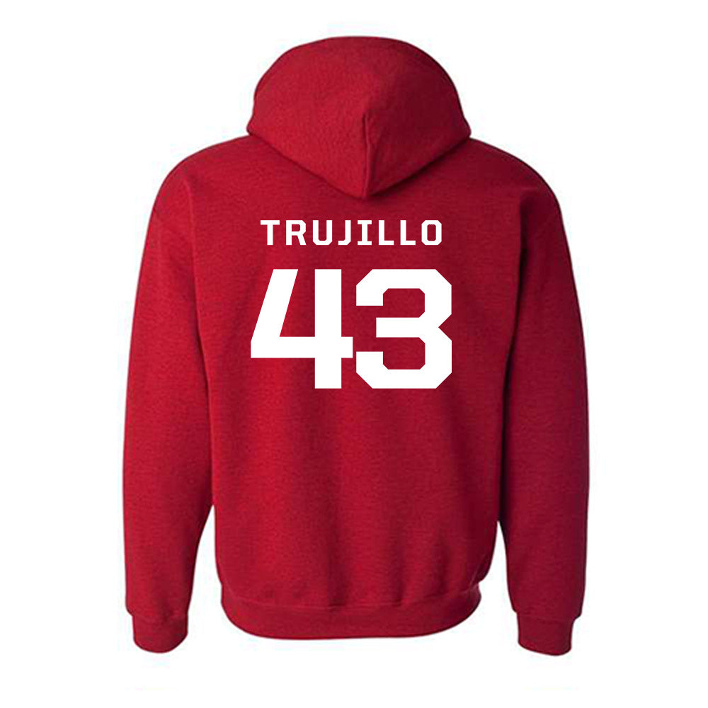 New Mexico - NCAA Baseball : Gene Trujillo - Classic Fashion Shersey Hooded Sweatshirt-1