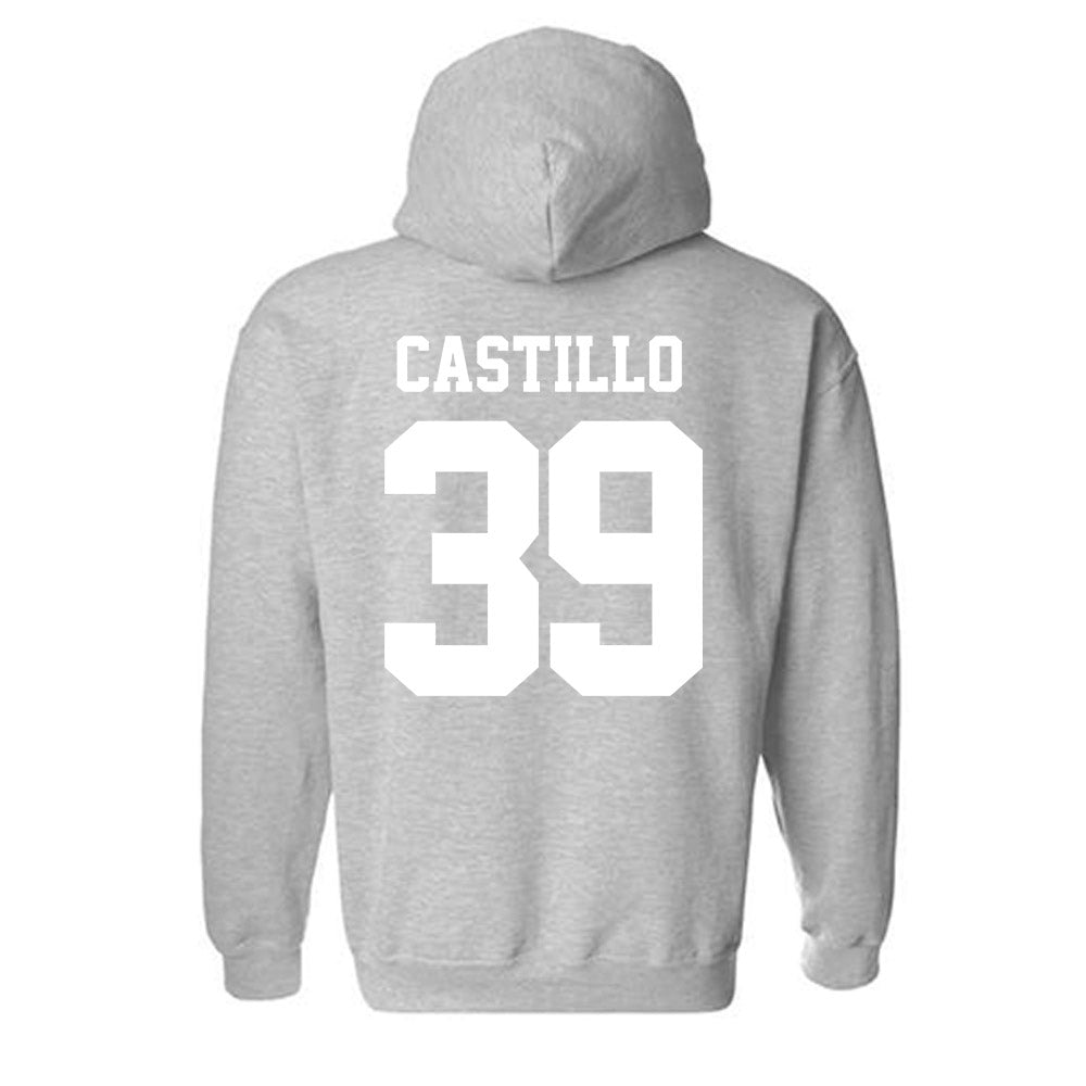 New Mexico - NCAA Baseball : Ryan Castillo - Classic Fashion Shersey Hooded Sweatshirt-1