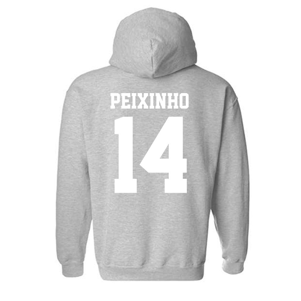 New Mexico - NCAA Women's Basketball : Leonor Peixinho - Classic Fashion Shersey Hooded Sweatshirt-1
