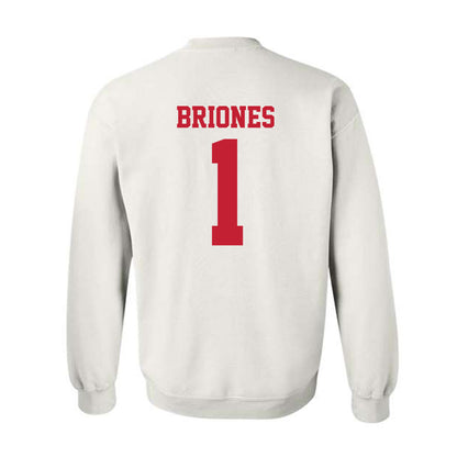New Mexico - NCAA Softball : Gabrielle Briones - Classic Fashion Shersey Crewneck Sweatshirt-1