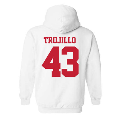 New Mexico - NCAA Baseball : Gene Trujillo - Classic Fashion Shersey Hooded Sweatshirt-1