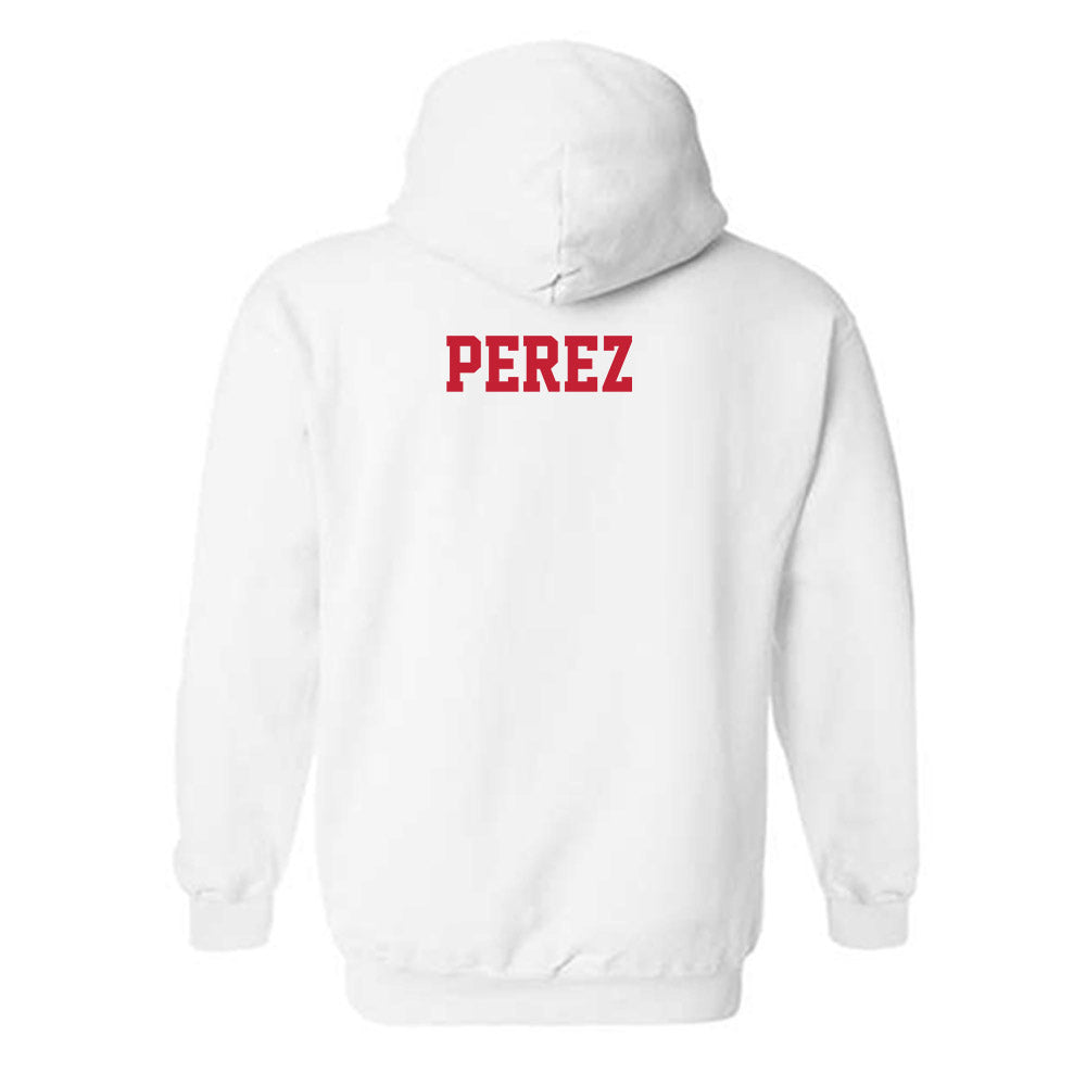 New Mexico - NCAA Men's Tennis : Alberto Perez - Classic Fashion Shersey Hooded Sweatshirt-1