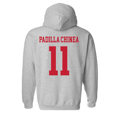 New Mexico - NCAA Women's Basketball : Nayli Padilla Chinea - Classic Fashion Shersey Hooded Sweatshirt-1