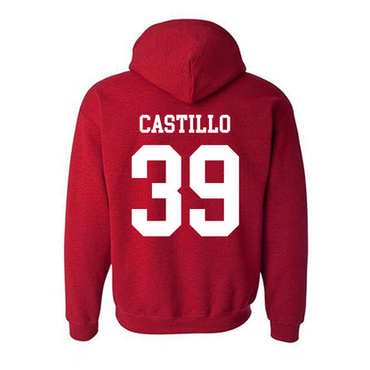 New Mexico - NCAA Baseball : Ryan Castillo - Classic Shersey Hooded Sweatshirt-1