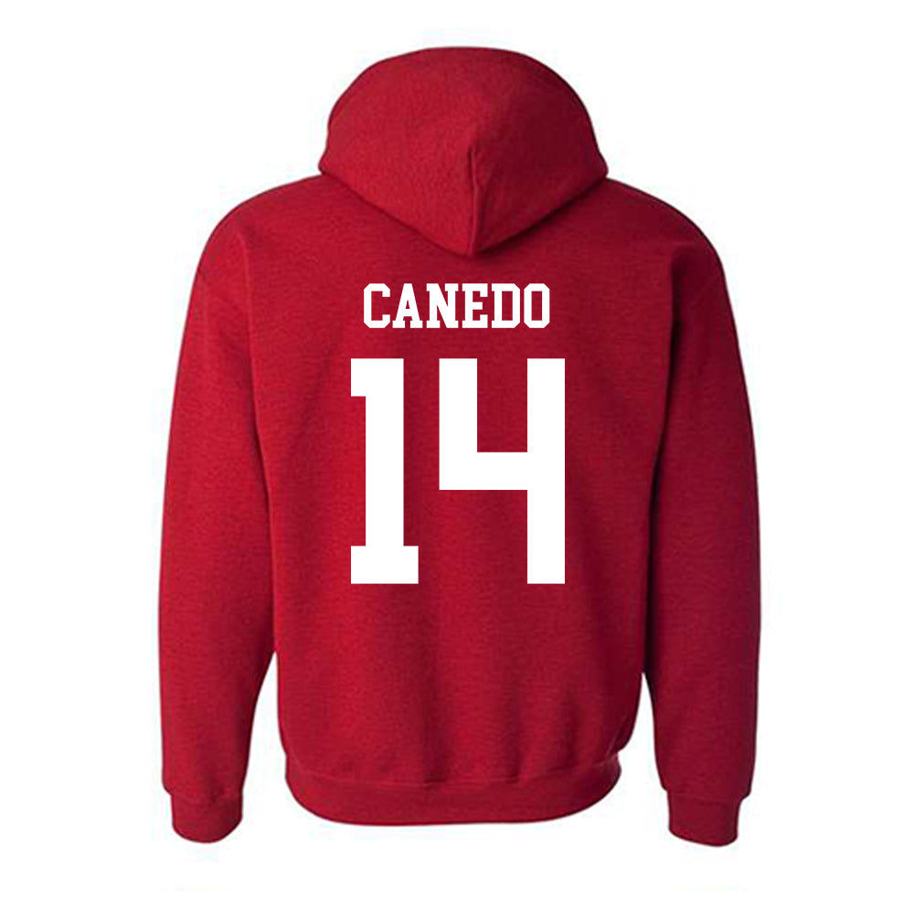New Mexico - NCAA Women's Volleyball : Camila Canedo - Classic Shersey Hooded Sweatshirt-1