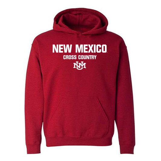 New Mexico - NCAA Men's Cross Country : Matthew Giardina - Classic Shersey Hooded Sweatshirt-0