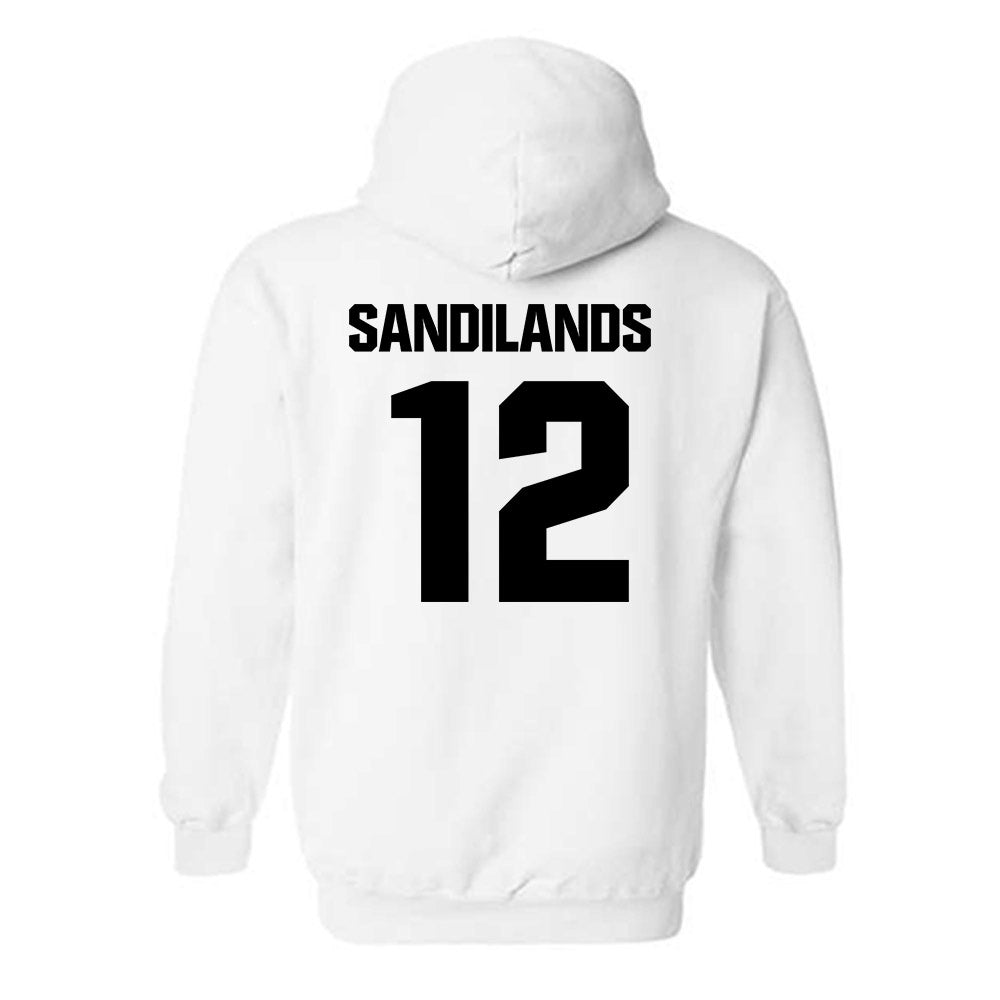 Maine - NCAA Women's Ice Hockey : Sade Sandilands - Classic Fashion Shersey Hooded Sweatshirt-1