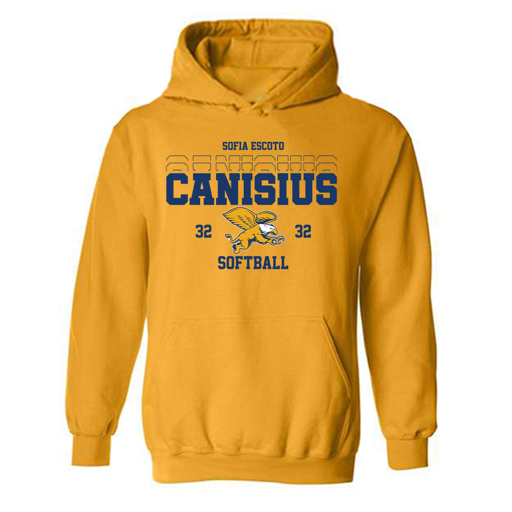 Canisius - NCAA Softball : Sofia Escoto - Classic Fashion Shersey Hooded Sweatshirt-0