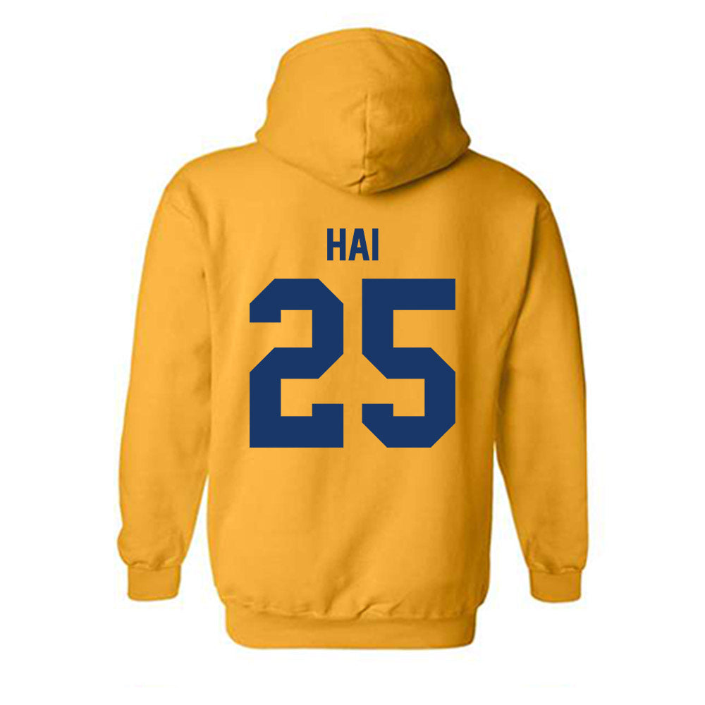 Canisius - NCAA Softball : Rebecca Hai - Classic Shersey Hooded Sweatshirt-1