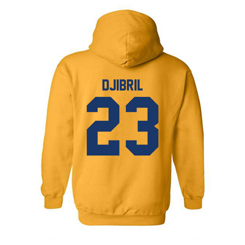 Canisius - NCAA Women's Basketball : Yasmine Djibril - Classic Shersey Hooded Sweatshirt-1