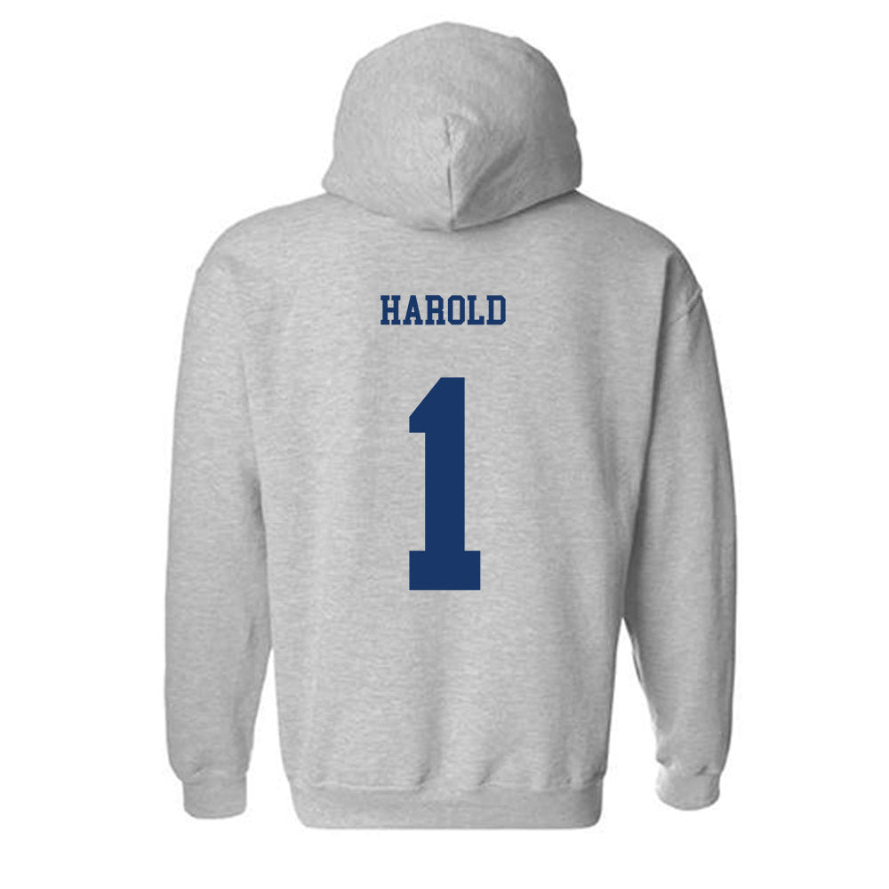 Canisius - NCAA Men's Soccer : Preston Harold - Classic Shersey Hooded Sweatshirt-1