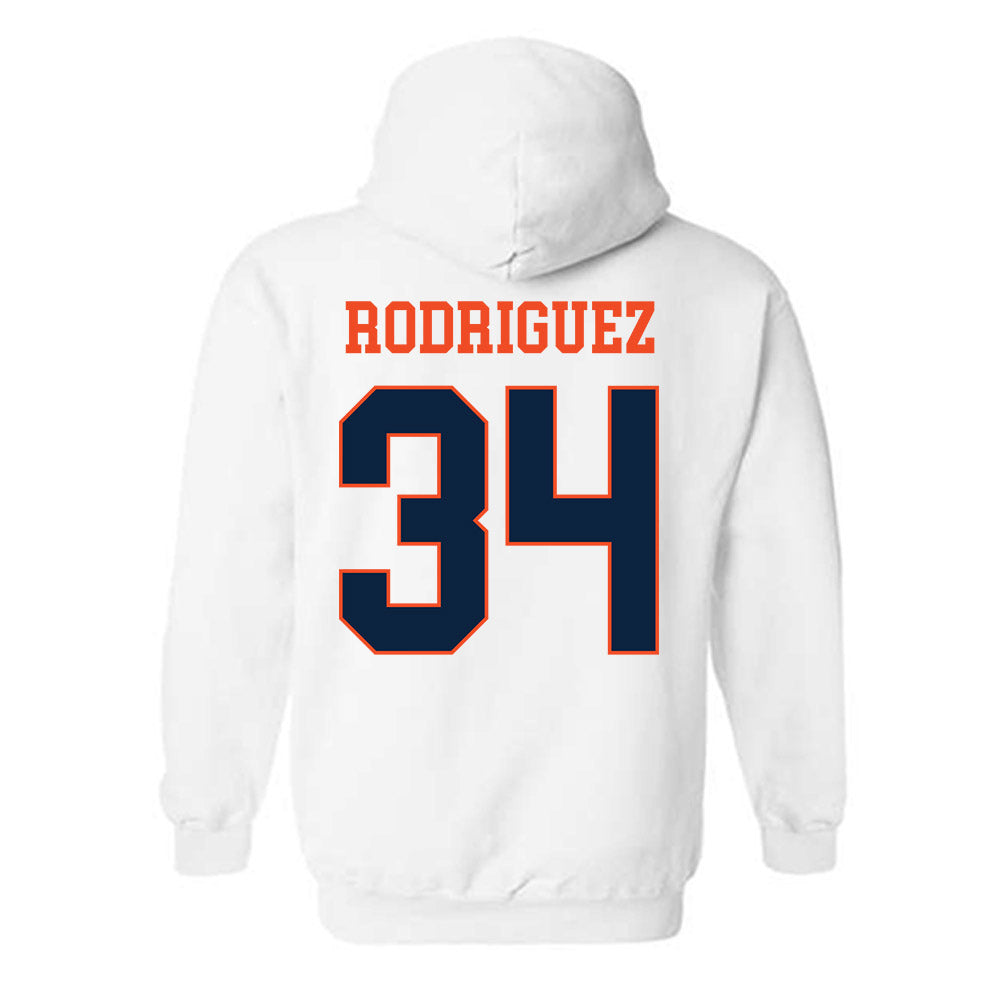 Auburn - NCAA Softball : Destiny Rodriguez - Generic Shersey Hooded Sweatshirt-1