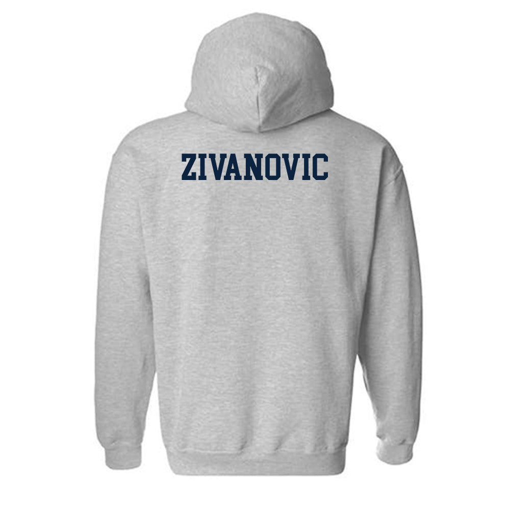 Auburn - NCAA Men's Swimming & Diving : Uros Zivanovic - Generic Shersey Hooded Sweatshirt-1