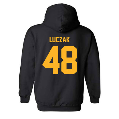 Pittsburgh - NCAA Baseball : Andrew Luczak - Classic Fashion Shersey Hooded Sweatshirt-1