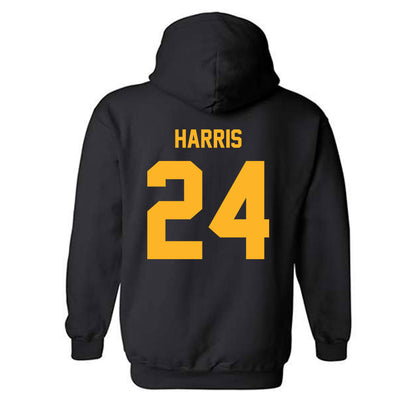 Pittsburgh - NCAA Softball : Payton Harris - Classic Fashion Shersey Hooded Sweatshirt-1