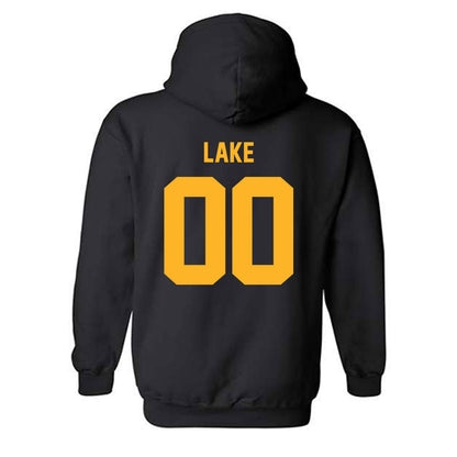 Pittsburgh - NCAA Baseball : Aaron Lake - Classic Fashion Shersey Hooded Sweatshirt-1