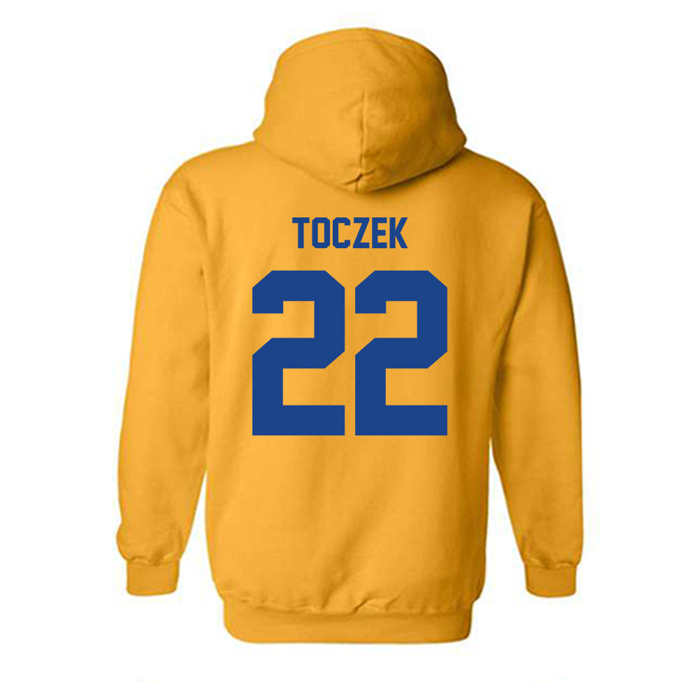 Pittsburgh - NCAA Softball : Addison Toczek - Classic Shersey Hooded Sweatshirt-1