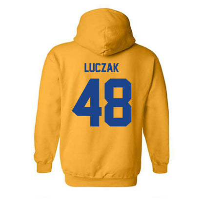 Pittsburgh - NCAA Baseball : Andrew Luczak - Classic Shersey Hooded Sweatshirt-1