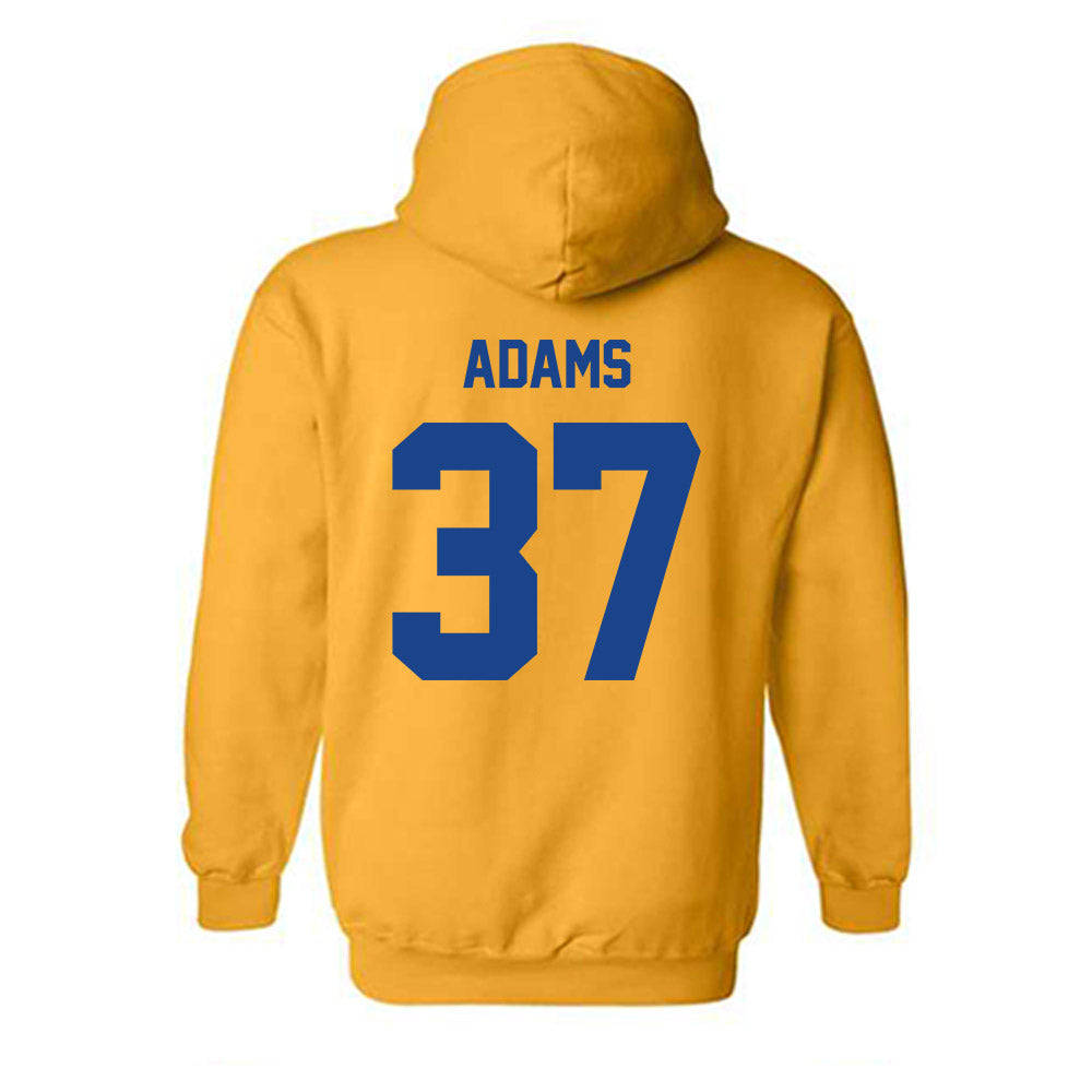 Pittsburgh - NCAA Baseball : JT Adams - Classic Shersey Hooded Sweatshirt-1