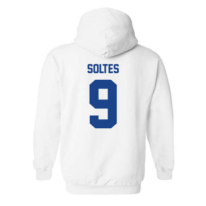 Pittsburgh - NCAA Softball : Sandra Soltes - Hooded Sweatshirt Classic Fashion Shersey