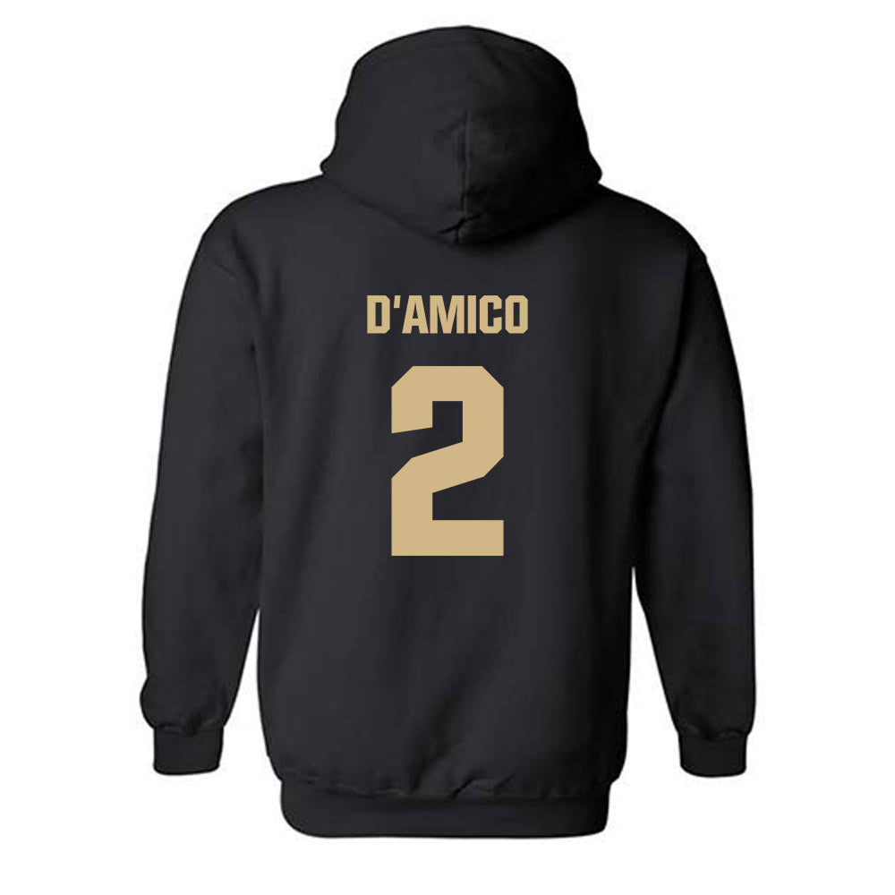 Wake Forest - NCAA Baseball : Logan D'Amico - Classic Shersey Hooded Sweatshirt-1