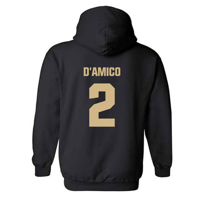 Wake Forest - NCAA Baseball : Logan D'Amico - Classic Shersey Hooded Sweatshirt-1