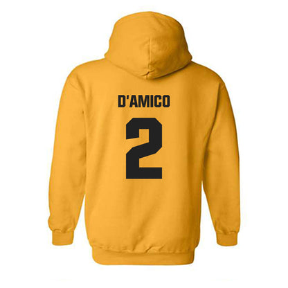 Wake Forest - NCAA Baseball : Logan D'Amico - Classic Shersey Hooded Sweatshirt-1