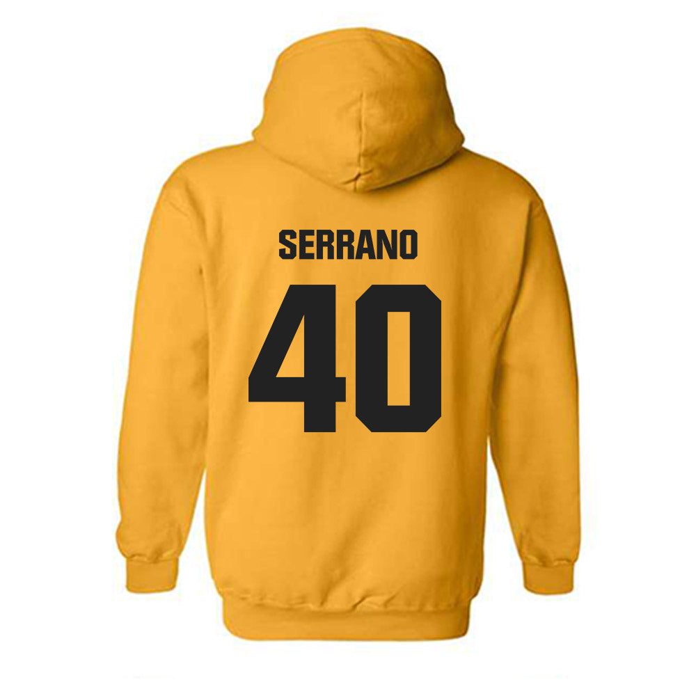 Wake Forest - NCAA Baseball : Jordan Serrano - Classic Shersey Hooded Sweatshirt-1