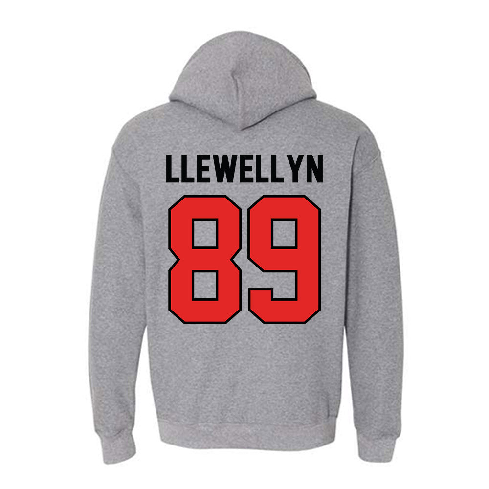 Texas Tech - NCAA Football : Jason Llewellyn - Classic Shersey Hooded Sweatshirt