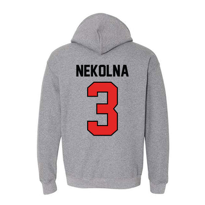 Texas Tech - NCAA Women's Basketball : Julie Nekolna - Classic Shersey Hooded Sweatshirt-1