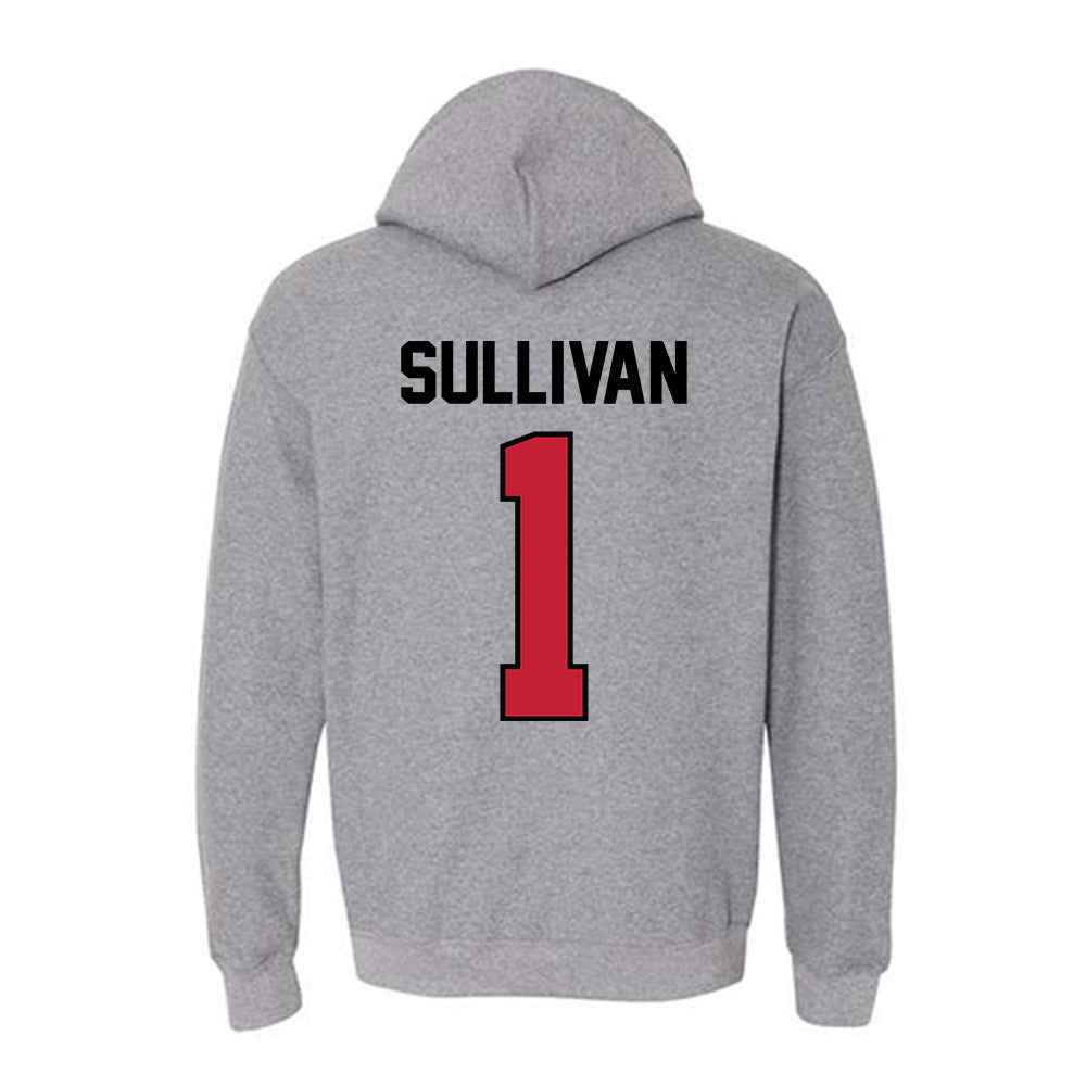 Georgia - NCAA Softball : Delani Sullivan - Classic Shersey Hooded Sweatshirt-1
